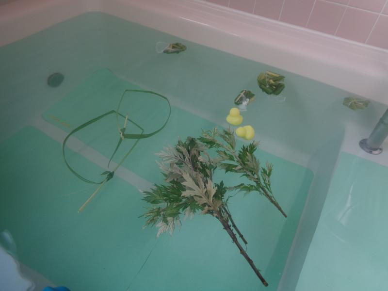 いこいの里古賀【端午の節句】