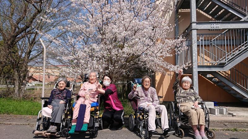 いこいの里巨勢【桜　満開】