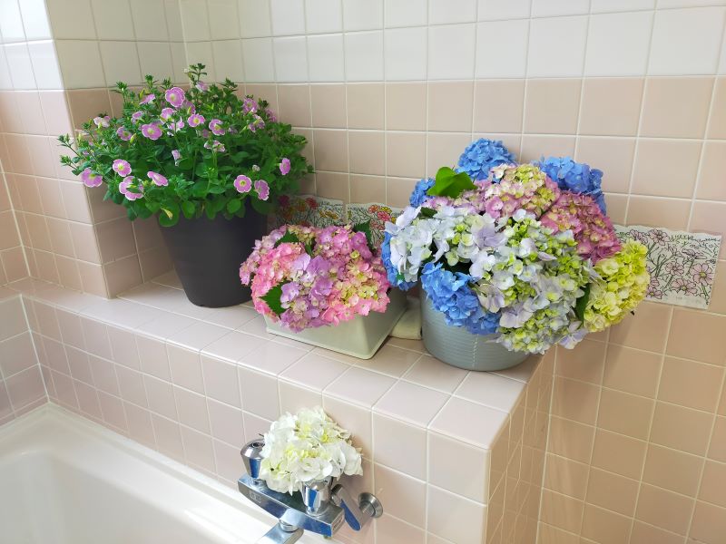 いこいの里徳吉【紫陽花風呂】