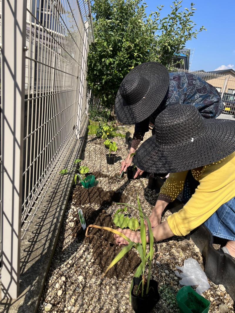 いこいの里唐津【苗植え】