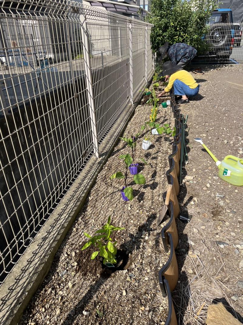 いこいの里唐津【苗植え】