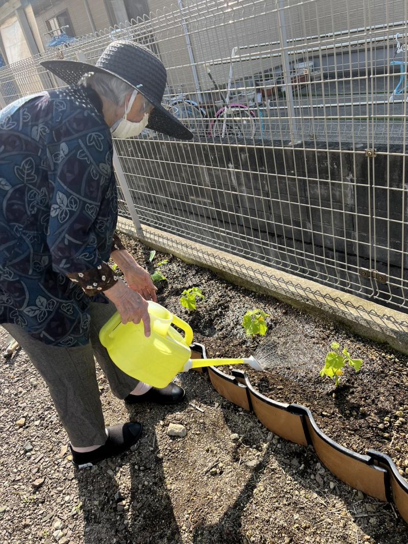 いこいの里唐津【苗植え】