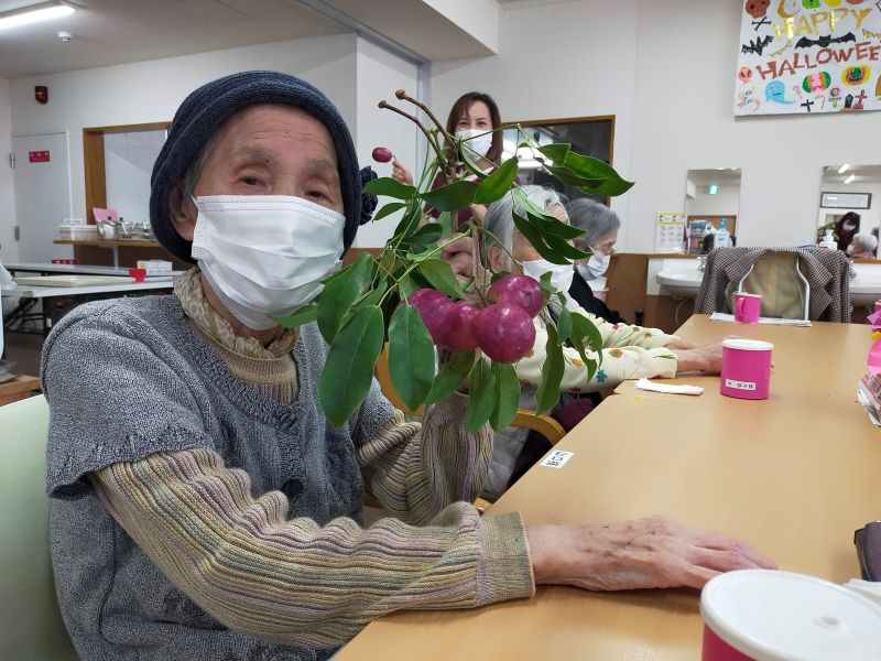 いこいの里徳吉　【あけび】