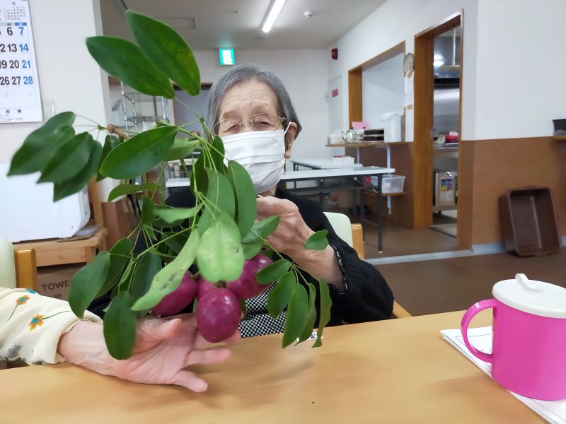 いこいの里徳吉　【あけび】