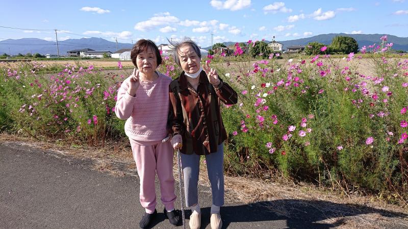 いこいの里巨勢【コスモス】