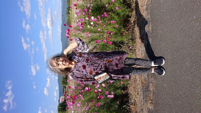 いこいの里巨勢【コスモス】