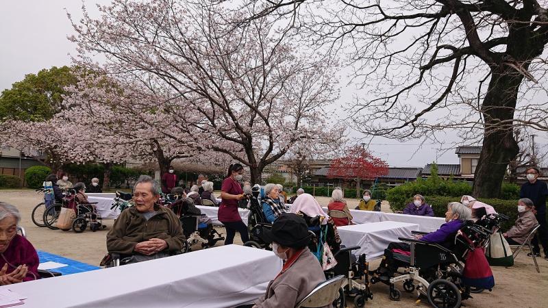いこいの里巨勢【お花見会】
