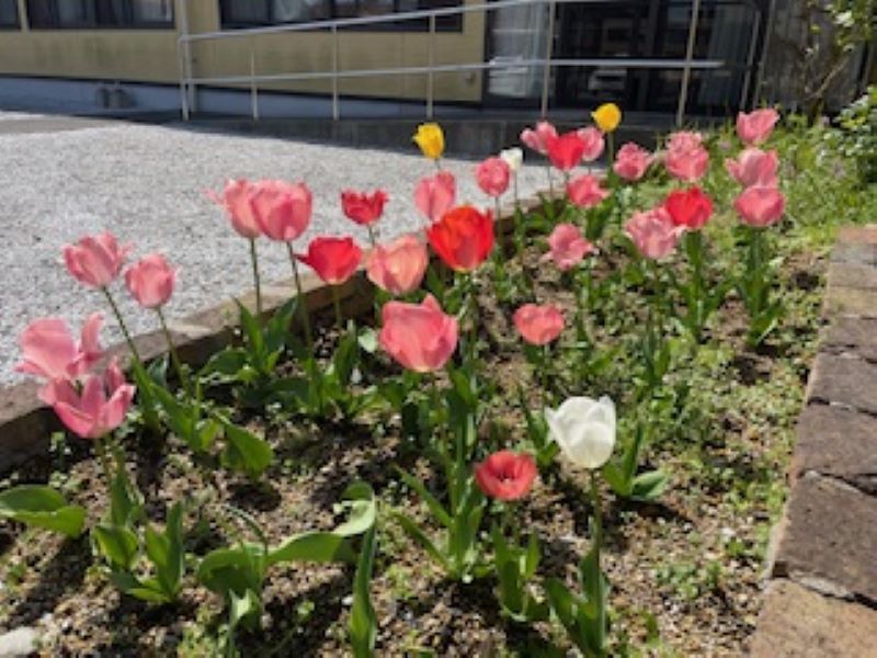 いこいの里徳吉　【園芸部】