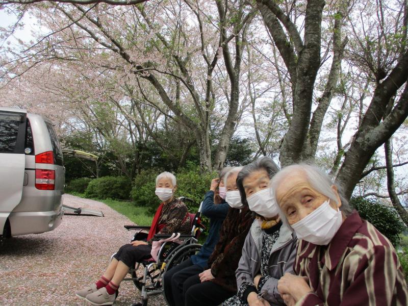 いこいの里伊万里【桜の花見】